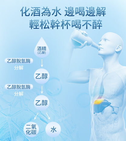 GTG SOBER 解酒益生菌 解酒護肝  GTG SOBER  Probiotics for Alcohol Metabolism  Liver protection